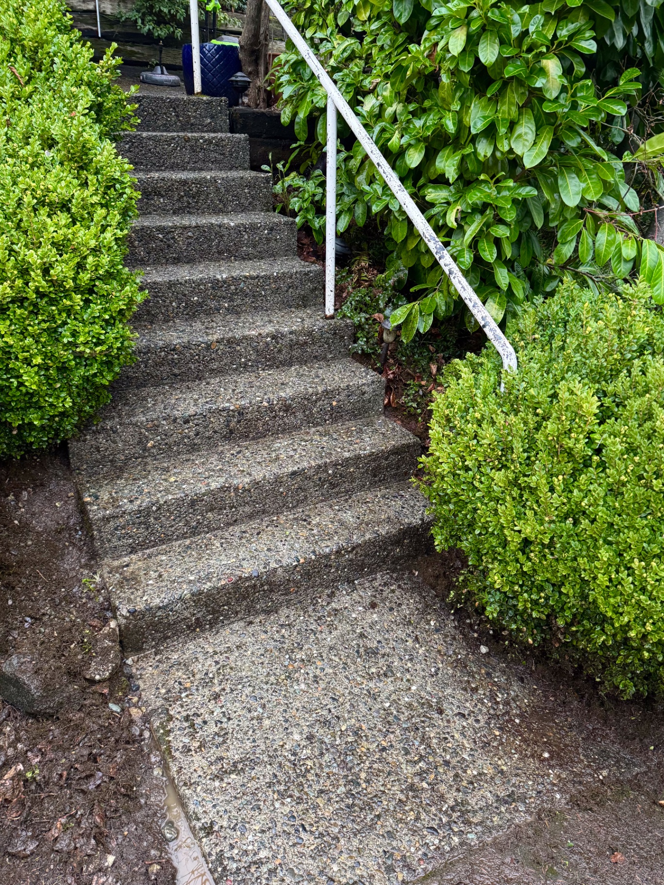 Clean steps after pressure washing